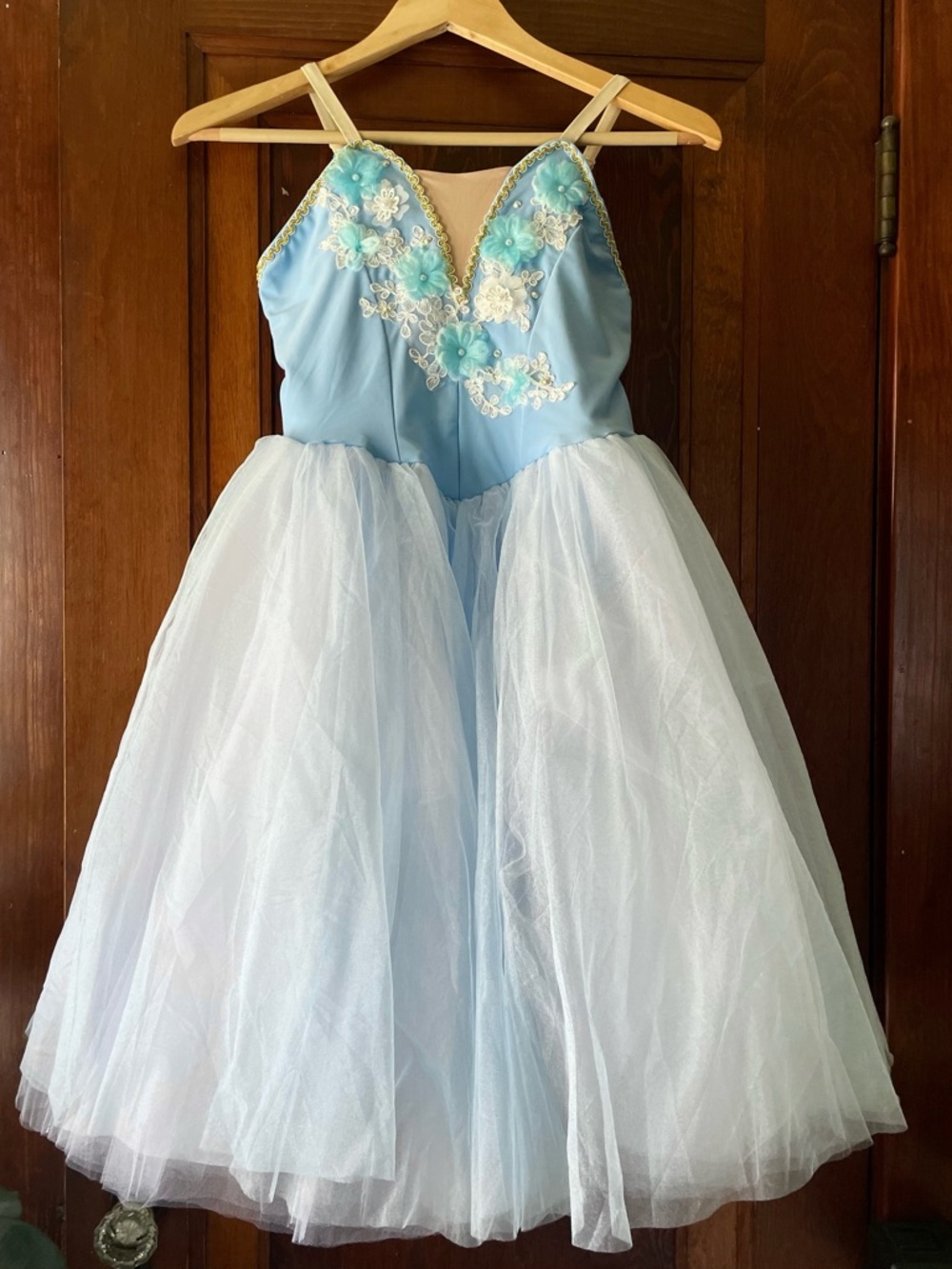 Princess, Fairy, Ballerina Costume Dress, Blue